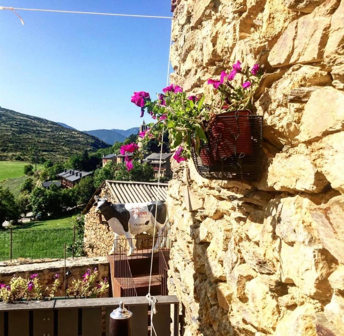 Preciosa Casa Rural Cal Felipet En Olopte-Cerdanya Exterior foto